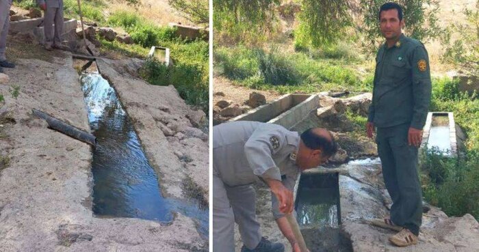 قراویز؛ دشت امید و بهشت امن آهوان ایرانی در غرب کشور