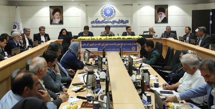 عزم ملی برای احیای فرش کرمان/ تشکیل زنجیره آموزش تا واگذاری شرکت فرش