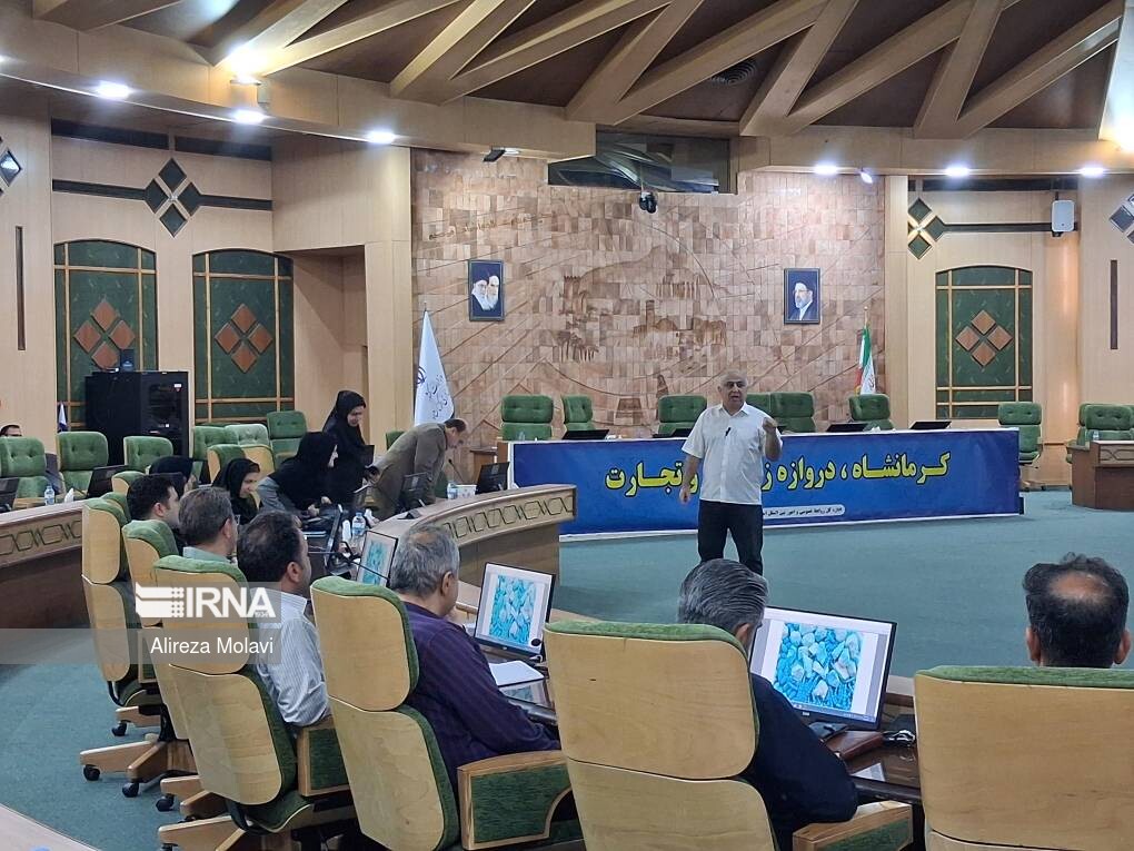 برگزاری کارگاه آموزشی «تابآوری در سوانح» ویژه کارکنان دستگاههای اجرایی استان کرمانشاه برگزاری کارگاه آموزشی «تابآوری در سوانح» ویژه کارکنان دستگاههای اجرایی استان کرمانشاه