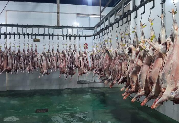 کمیته امداد گلستان با هفت قربانگاه به استقبال عید قربان رفت