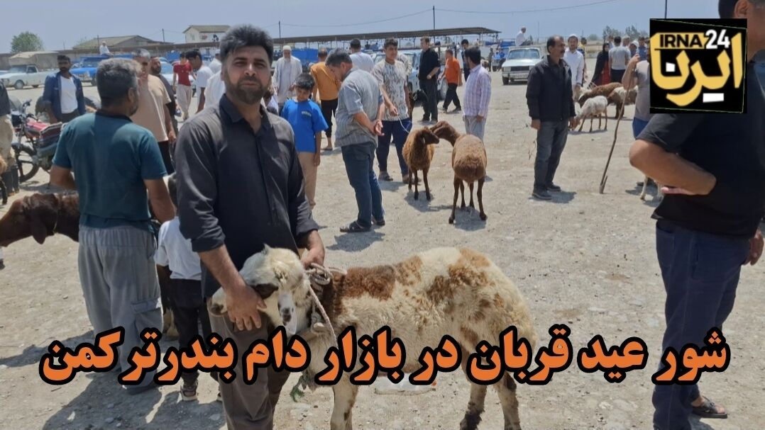 فیلم| شور عید قربان در بازار دام بندرترکمن
