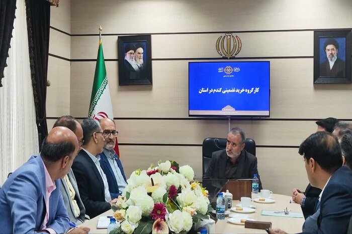 استاندار خراسان جنوبی: خرید تضمینی گندم اولویت نخست حوزه اقتصادی استان است