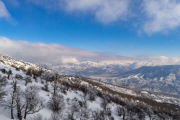 تماشای آسمان ابری
