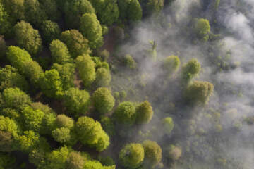 تماشای آسمان ابری
