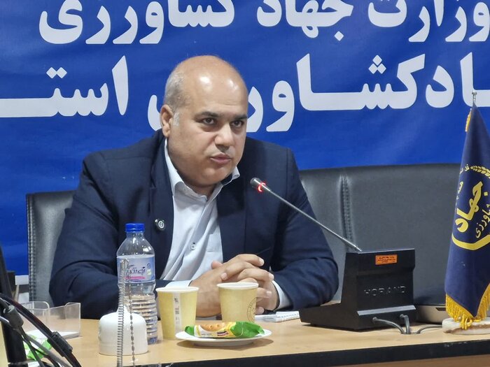 گلستان سنگر امنیت غذایی کشور در روزهای جنگ با افزایش ۲۰ درصدی جوجهریزی