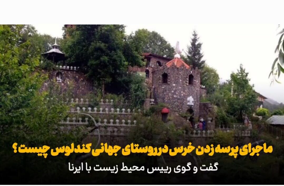 فیلم| پرسه مستمر خرس در روستای جهانی کندلوس نوشهر؛ جاذبه گردشگری یا تهدید تنوع زیستی؟