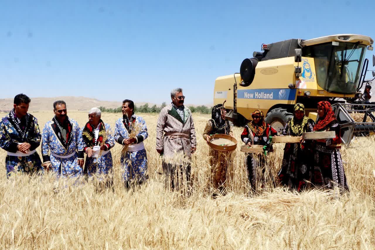 پیش‌بینی برداشت ۷۰۰ هزار تن گندم و جو از اراضی لرستان
