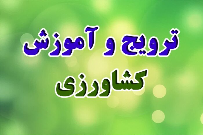 تغییر اقلیم و لزوم مقابله با بیماری «بلاست» در شالیزارهای شمال