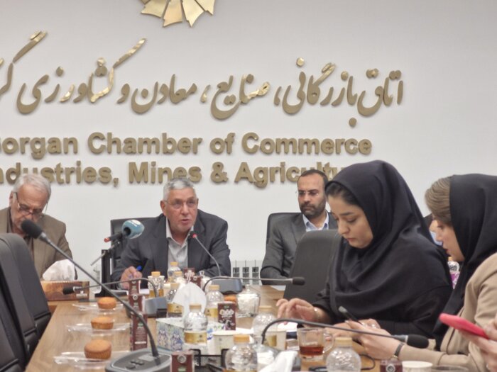 یک عضو کشاورزی در مجلس: نگرانی گندمکاران برای پرداخت مطالبات رفع میشود