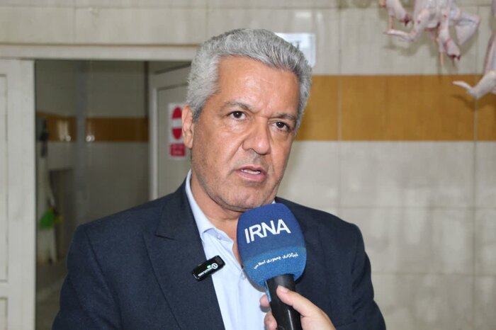 از «دان» تا «کشتار»؛ روایت یک تور رسانهای از زنجیره تولید مرغ در رزن