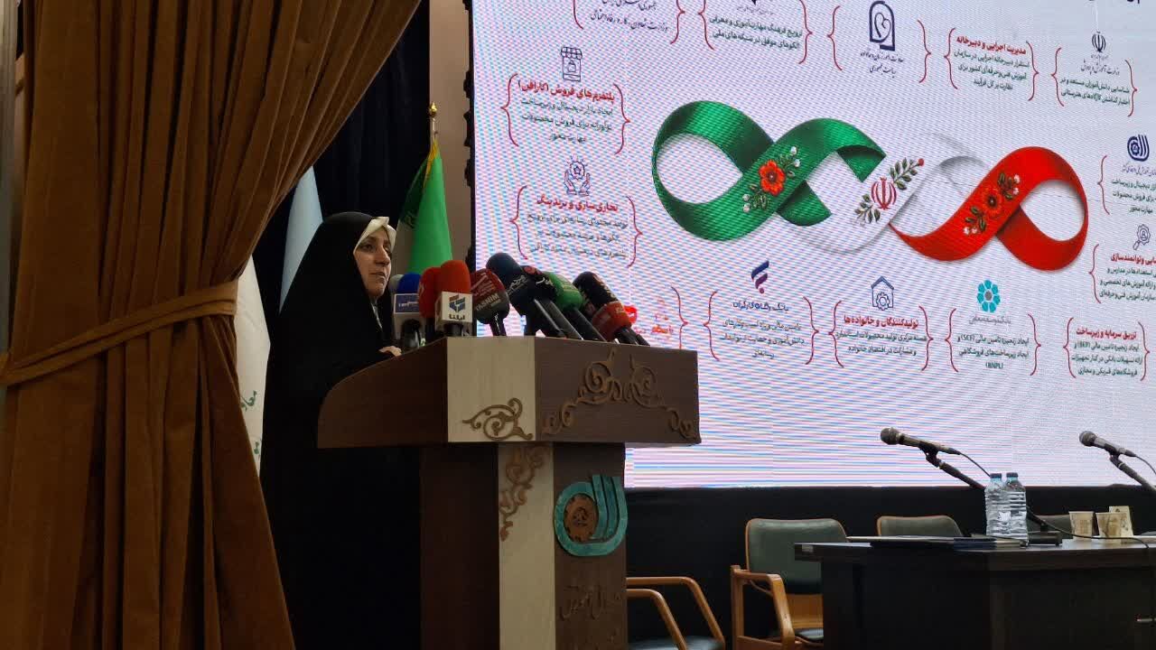معاون رییس جمهور: دولت مصمم به فراهم سازی بستر رشد و  توسعه شغلی زنان کشور است