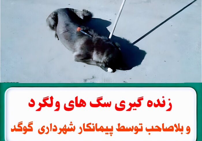 اخبار کوتاه از غرب اصفهان