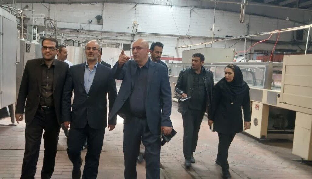 رییس کل دادگستری همدان: دستگاه قضا در کمک به رفع موانع پیش روی بخش تولید مصمم است