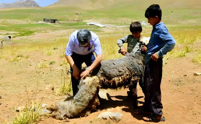 اخبار کوتاه از غرب اصفهان