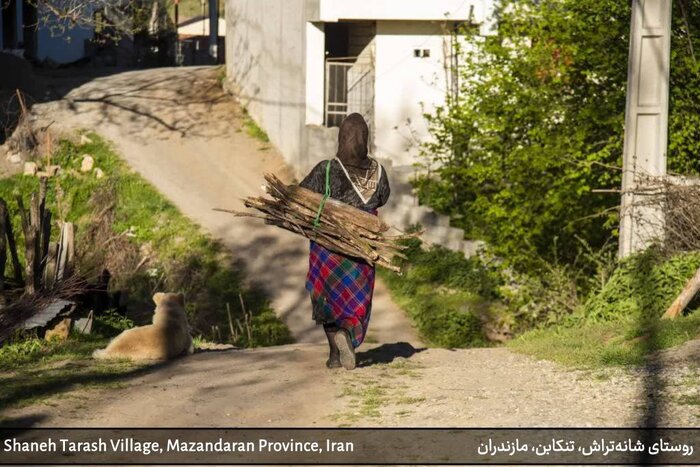 «شانه‌تراش» پیشگامِ پیوند گردشگری و حفاظت از طبیعت؛ الگویِ ایرانی برای ثبت جهانی