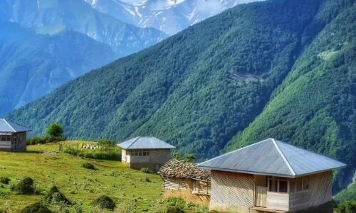 بهشتِ بدون خودرو؛ «نوشا» آماده‌ برندسازی جهانی