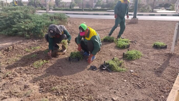 فیلا جایگزین چمن در فضای سبز ساوه شد