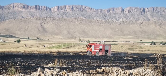 ۱۸ هکتار از مزارع گندم گیلانغرب در آتش سوخت