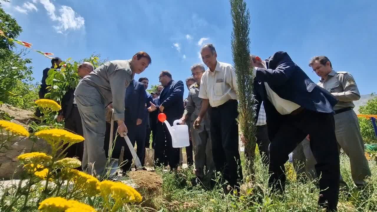 کاشت نهال مقاومت در محیط زیست جنگ زده البرز
