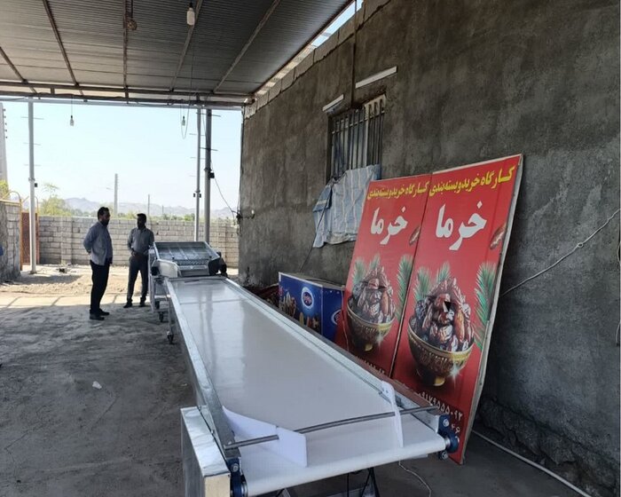 اشتغالزایی ۳۰ نفر با احداث گلخانه‌های نت‌هاوس و واحد بسته‌بندی خرما در جغین رودان