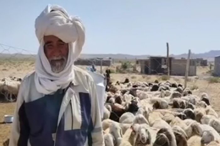 زکات؛ جلوه همدلی عشایر زیرکوه