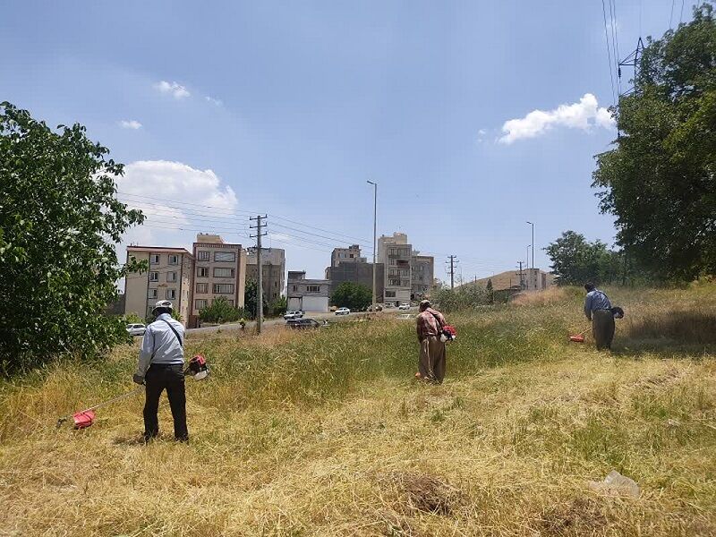خیز شهرداری سنندج برای حفاظت از پارک‌های جنگلی در 