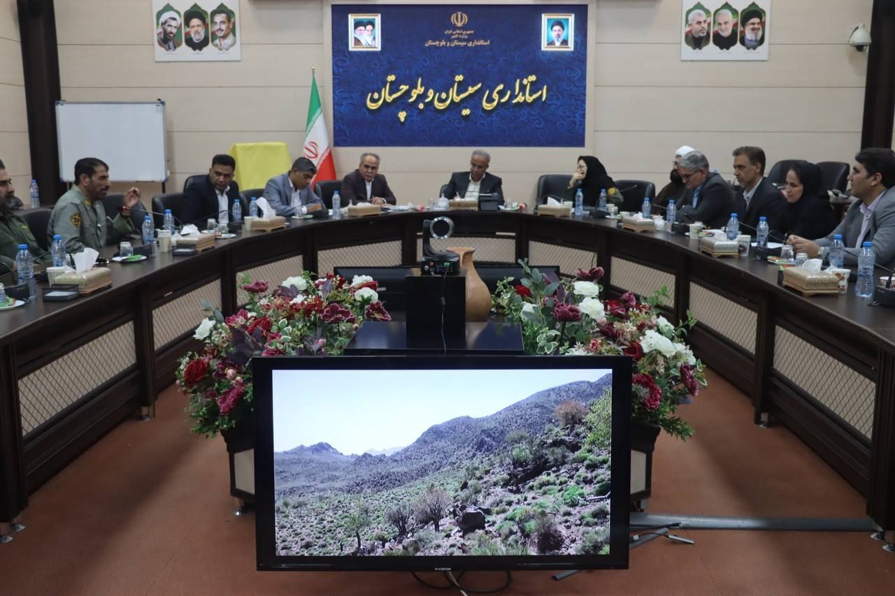 استاندار: ظرفیت‌های طبیعی سیستان و بلوچستان باید به اقتصاد ا