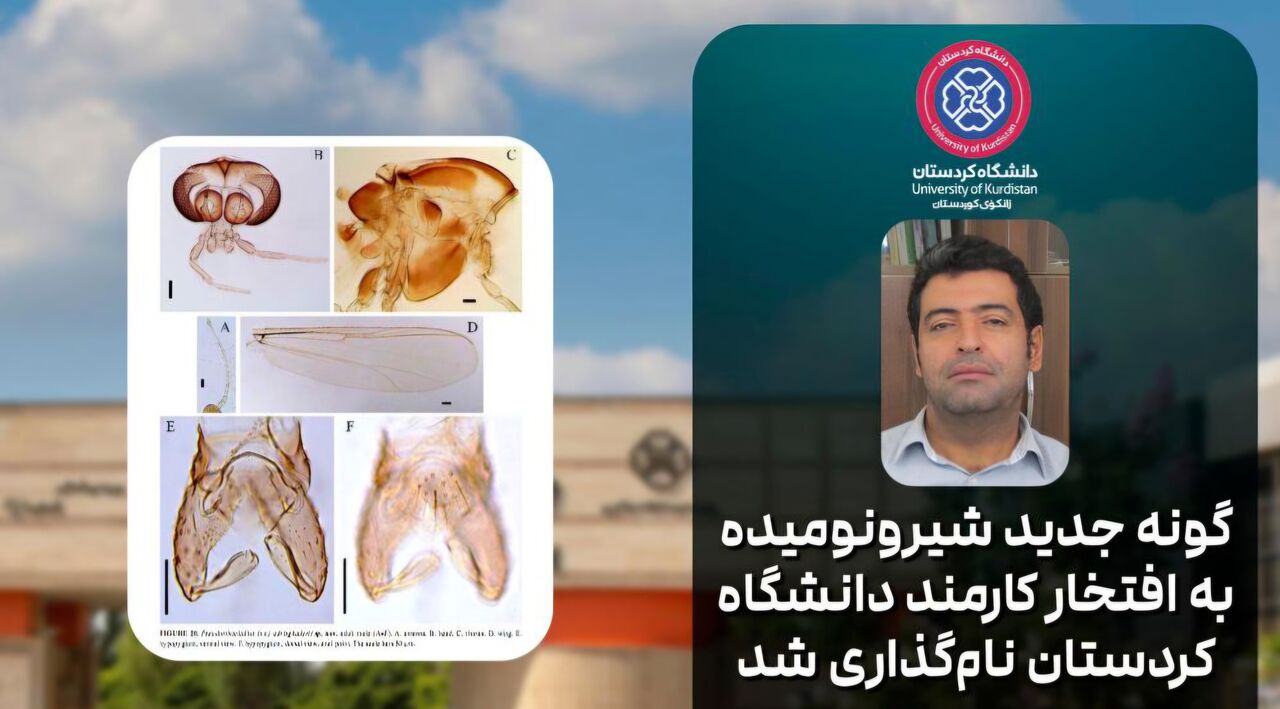 گونه جدید شیرونومیده به افتخار کارمند دانشگاه کردستان نام‌گذ