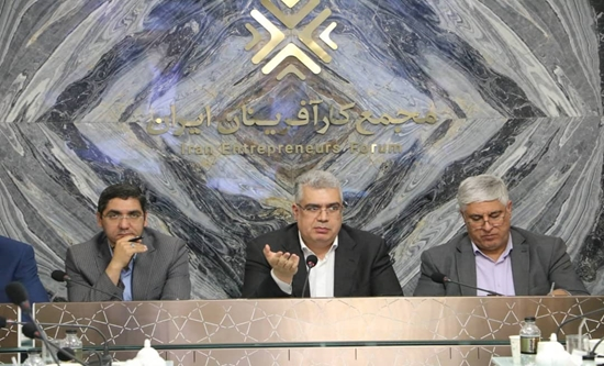 همافزایی دولت و بخش خصوصی برای پایداری تولید و تجارت