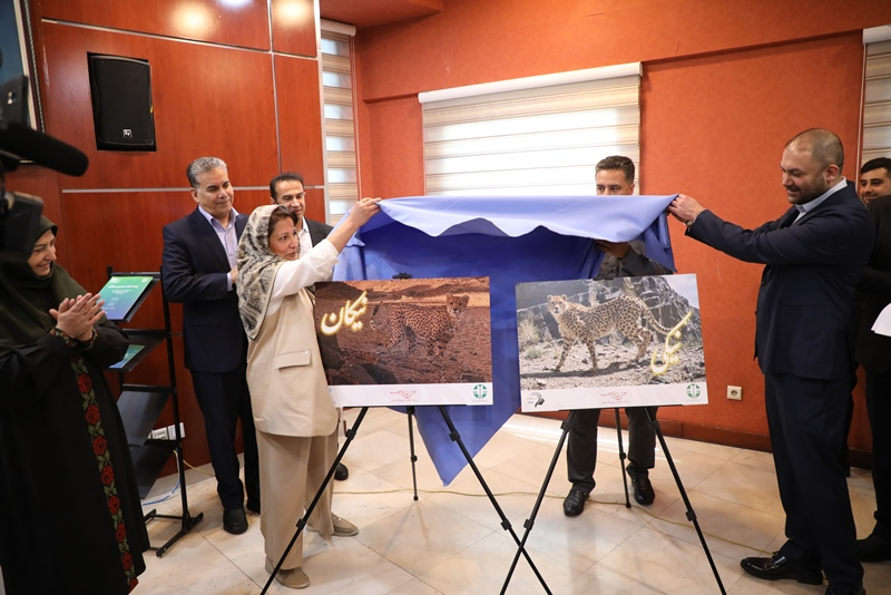 خبر محیطزیست