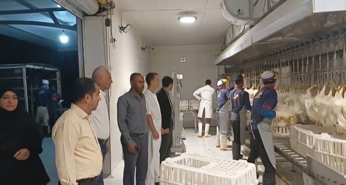 زنگ خطر برای توقف تنها کشتارگاه صنعتی شرق هرمزگان