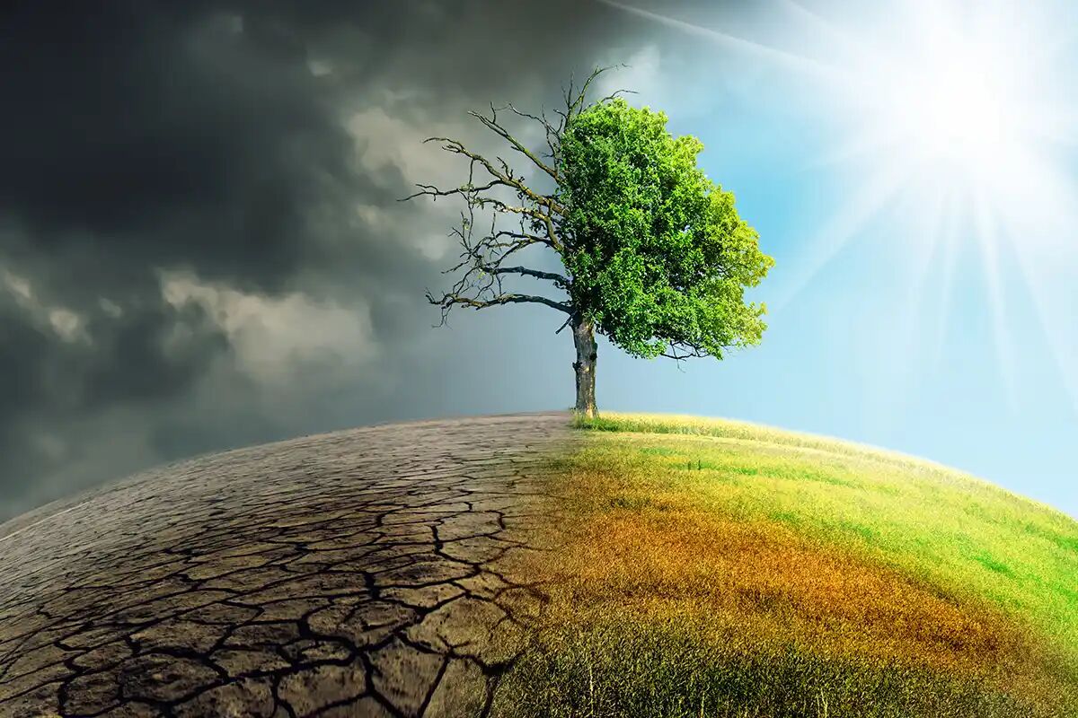 محیط‌زیست از حاشیه به متن تصمیم‌گیری‌ها بازگردد/ از نگاه منا