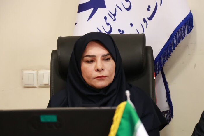 دبیر فدراسیون کنگ فو: مسابقات قهرمانی کشور در هشت قطب منطقهای برگزار میشود