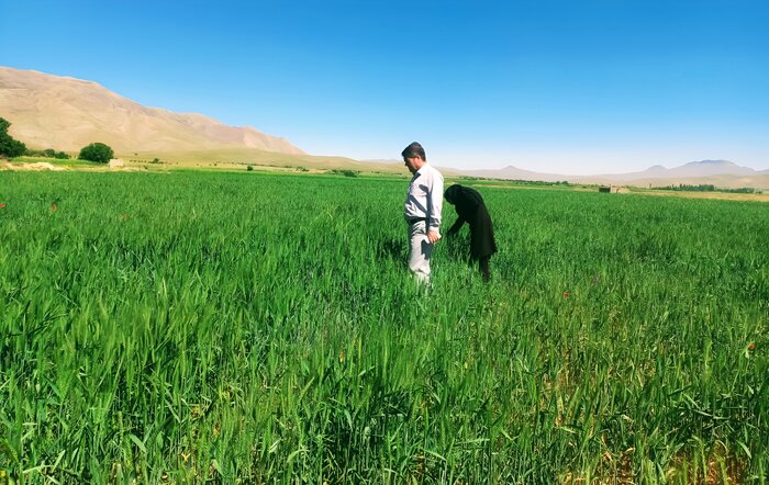 اخبار کوتاه از غرب اصفهان