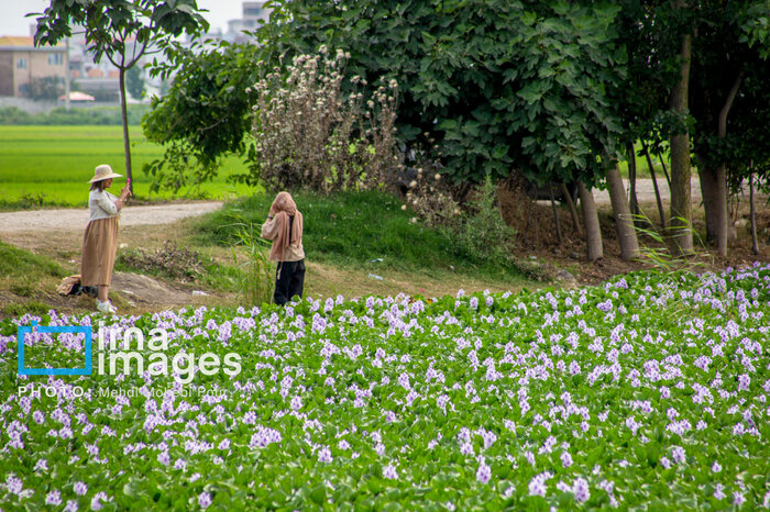 زیبایی فریبنده شیطان