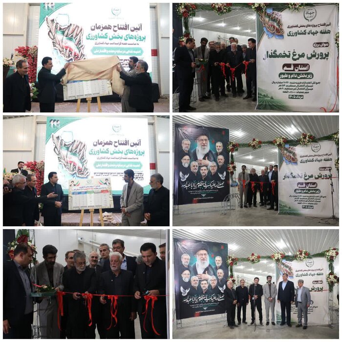 ۲۶ طرح شاخص کشاورزی در قم افتتاح شد 

‌