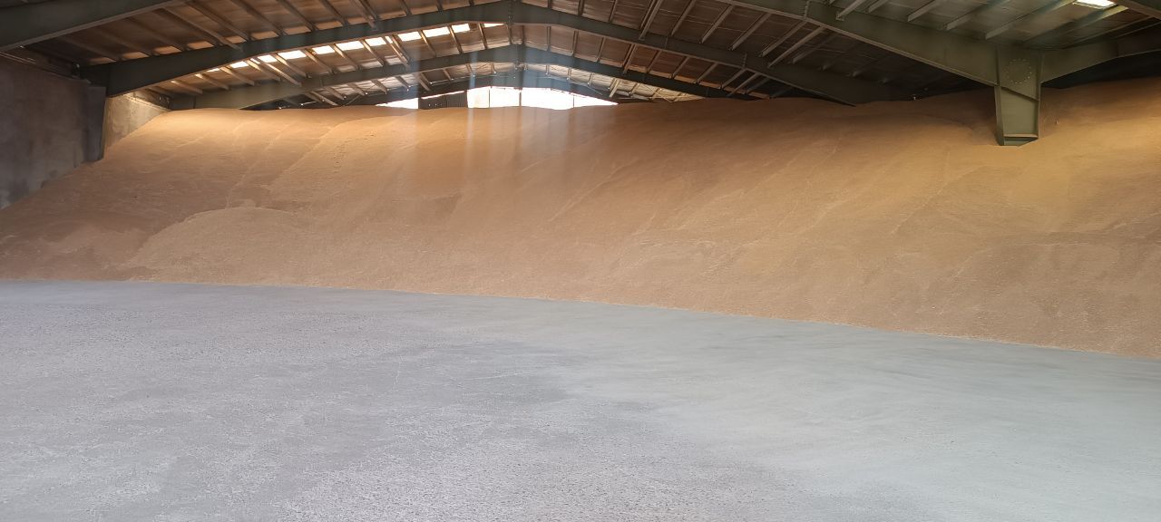 1,000 tons of wheat purchased from Zanjan farmers with guaranteed prices