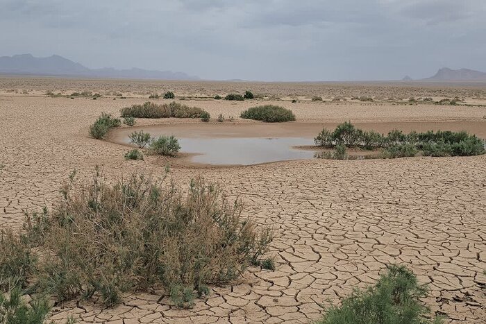 پیشروی بیابان در خراسان جنوبی؛ مهار بحران در تنگنای اعتبار