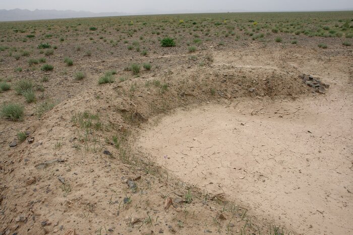 پیشروی بیابان در خراسان جنوبی؛ مهار بحران در تنگنای اعتبار