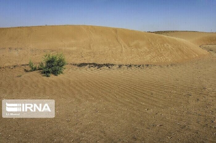 مزارع خورشیدی ناجی اراضی بیابانی