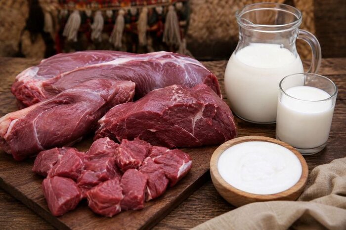 شترداری در خاش؛ ظرفیت بومی برای رونق تولید در دل خشکسالی