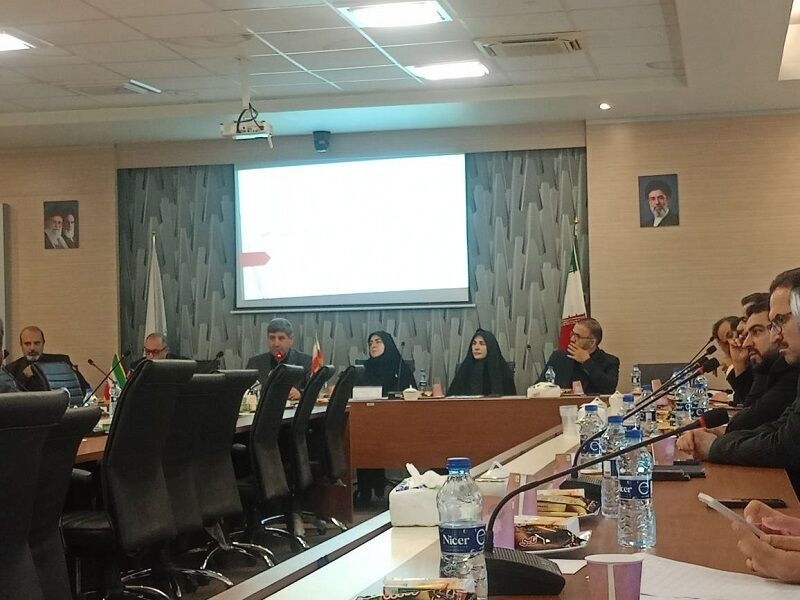 سخنگوی دولت: انتخاب مدیران جوان، صدقه نیست