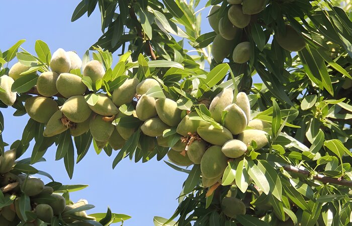 اخبار کوتاه از غرب اصفهان