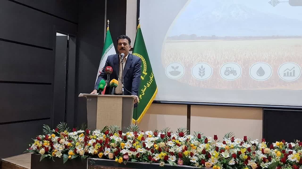 نوسانات اقلیمی همچنان چالش اصلی تولیدات کشاورزی است