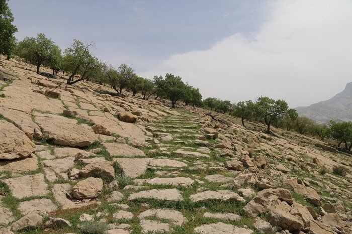 گذر از جاده شاهی هخامنشی در کوهچنار فارس