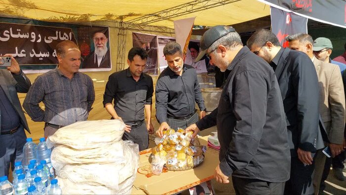 آمادهسازی ۳۳۶ موکب خراسان جنوبی برای خدمت به زائران «رهبر شهید»
