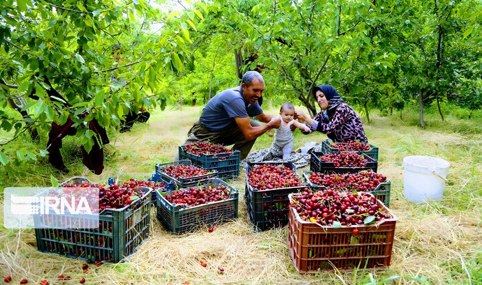 اخبار کوتاه از غرب اصفهان