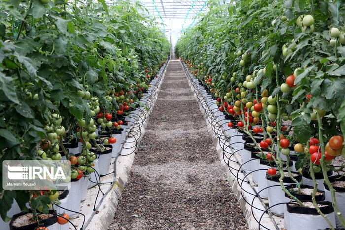 دهیاران برای کاهش وابستگی به اعتبارهای دولتی برنامه داشته باشند