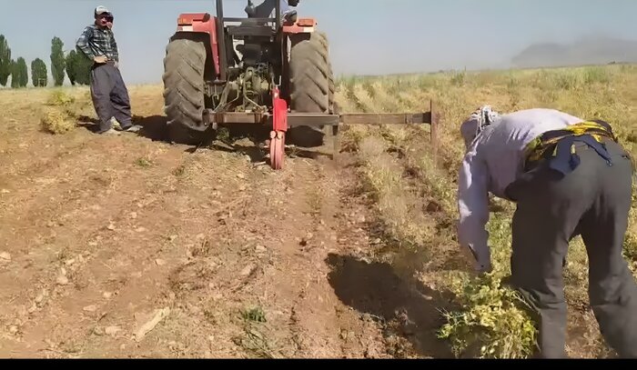 اخبار کوتاه از غرب اصفهان