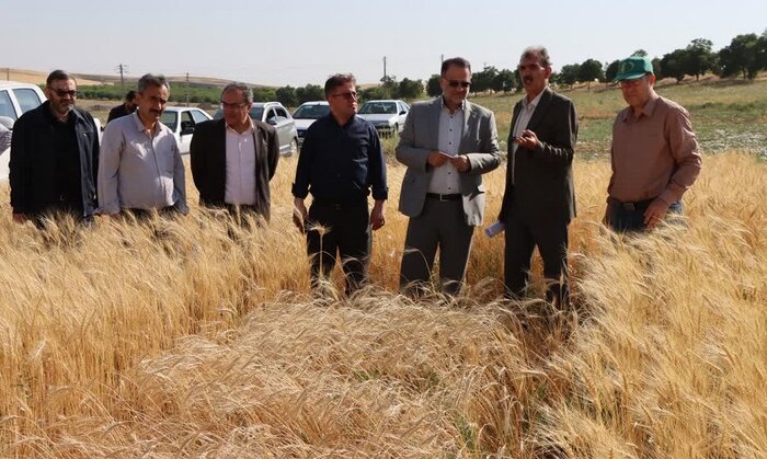 نقش راهبردی موسسه تحقیقات دیم کشور برجستهسازی شود